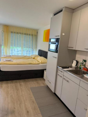 BrienzStrasse 102